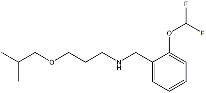  {[2-(difluoromethoxy)phenyl]methyl}[3-(2-methylpropoxy)propyl]amine