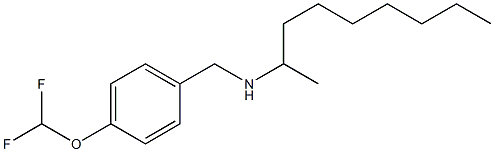  {[4-(difluoromethoxy)phenyl]methyl}(nonan-2-yl)amine