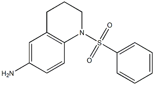 1-(benzenesulfonyl)-1,2,3,4-tetrahydroquinolin-6-amine 结构式