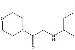 1-(morpholin-4-yl)-2-(pentan-2-ylamino)ethan-1-one