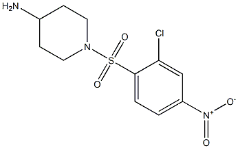 1-[(2-chloro-4-nitrobenzene)sulfonyl]piperidin-4-amine,,结构式