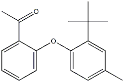 1-[2-(2-tert-butyl-4-methylphenoxy)phenyl]ethan-1-one,,结构式