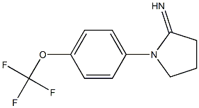 1-[4-(trifluoromethoxy)phenyl]pyrrolidin-2-imine|