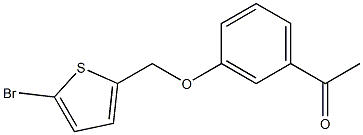 1-{3-[(5-bromothien-2-yl)methoxy]phenyl}ethanone