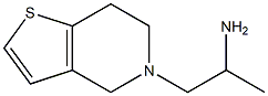 1-{4H,5H,6H,7H-thieno[3,2-c]pyridin-5-yl}propan-2-amine,,结构式
