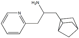 1-{bicyclo[2.2.1]heptan-2-yl}-3-(pyridin-2-yl)propan-2-amine