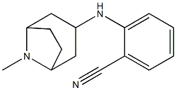 2-({8-methyl-8-azabicyclo[3.2.1]octan-3-yl}amino)benzonitrile
