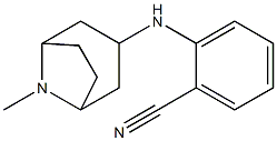 2-({8-methyl-8-azabicyclo[3.2.1]octan-3-yl}amino)benzonitrile Structure