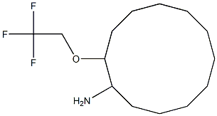 2-(2,2,2-trifluoroethoxy)cyclododecan-1-amine,,结构式
