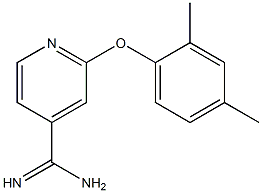 2-(2,4-dimethylphenoxy)pyridine-4-carboximidamide|