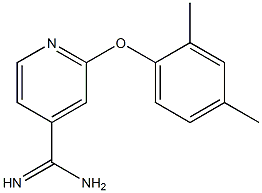 2-(2,4-dimethylphenoxy)pyridine-4-carboximidamide 结构式