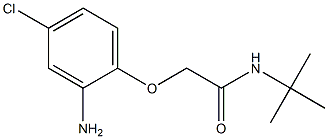 2-(2-amino-4-chlorophenoxy)-N-(tert-butyl)acetamide