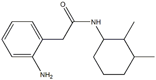 2-(2-aminophenyl)-N-(2,3-dimethylcyclohexyl)acetamide