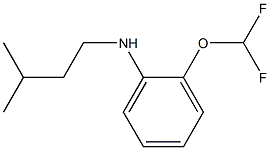 2-(difluoromethoxy)-N-(3-methylbutyl)aniline|