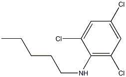 2,4,6-trichloro-N-pentylaniline,,结构式