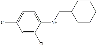 2,4-dichloro-N-(cyclohexylmethyl)aniline|