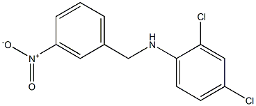 2,4-dichloro-N-[(3-nitrophenyl)methyl]aniline Structure