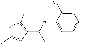 2,4-dichloro-N-[1-(2,5-dimethylthiophen-3-yl)ethyl]aniline