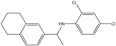 2,4-dichloro-N-[1-(5,6,7,8-tetrahydronaphthalen-2-yl)ethyl]aniline,,结构式