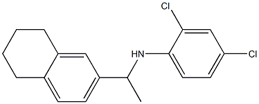 2,4-dichloro-N-[1-(5,6,7,8-tetrahydronaphthalen-2-yl)ethyl]aniline 化学構造式