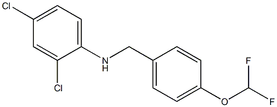 2,4-dichloro-N-{[4-(difluoromethoxy)phenyl]methyl}aniline