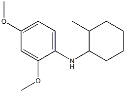 2,4-dimethoxy-N-(2-methylcyclohexyl)aniline|