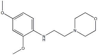 2,4-dimethoxy-N-[2-(morpholin-4-yl)ethyl]aniline|