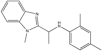 2,4-dimethyl-N-[1-(1-methyl-1H-1,3-benzodiazol-2-yl)ethyl]aniline|