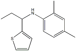 2,4-dimethyl-N-[1-(thiophen-2-yl)propyl]aniline,,结构式