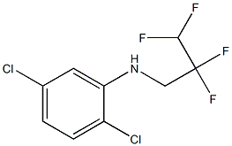 2,5-dichloro-N-(2,2,3,3-tetrafluoropropyl)aniline 化学構造式