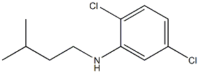 2,5-dichloro-N-(3-methylbutyl)aniline 化学構造式