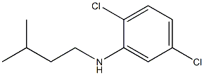  2,5-dichloro-N-(3-methylbutyl)aniline