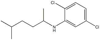 2,5-dichloro-N-(5-methylhexan-2-yl)aniline 化学構造式