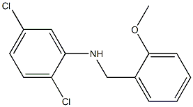 2,5-dichloro-N-[(2-methoxyphenyl)methyl]aniline 化学構造式