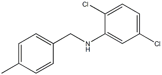 2,5-dichloro-N-[(4-methylphenyl)methyl]aniline 结构式