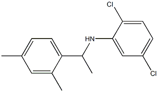 2,5-dichloro-N-[1-(2,4-dimethylphenyl)ethyl]aniline Structure