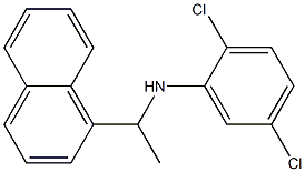 2,5-dichloro-N-[1-(naphthalen-1-yl)ethyl]aniline Structure