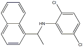 2,5-dichloro-N-[1-(naphthalen-1-yl)ethyl]aniline 结构式