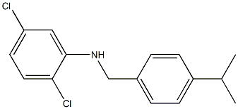 2,5-dichloro-N-{[4-(propan-2-yl)phenyl]methyl}aniline