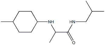 2-[(4-methylcyclohexyl)amino]-N-(2-methylpropyl)propanamide|