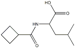 2-[(cyclobutylcarbonyl)amino]-4-methylpentanoic acid,,结构式