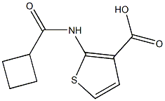 2-[(cyclobutylcarbonyl)amino]thiophene-3-carboxylic acid,,结构式