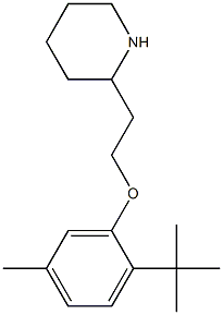 2-[2-(2-tert-butyl-5-methylphenoxy)ethyl]piperidine Struktur