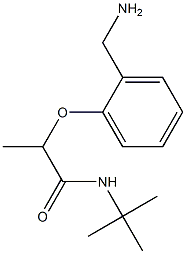 2-[2-(aminomethyl)phenoxy]-N-tert-butylpropanamide|