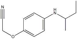 2-[4-(butan-2-ylamino)phenoxy]acetonitrile,,结构式