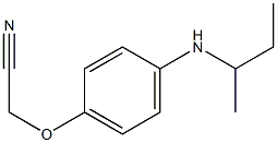  2-[4-(butan-2-ylamino)phenoxy]acetonitrile