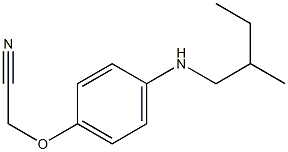 2-{4-[(2-methylbutyl)amino]phenoxy}acetonitrile