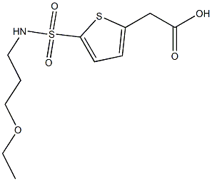 2-{5-[(3-ethoxypropyl)sulfamoyl]thiophen-2-yl}acetic acid Structure