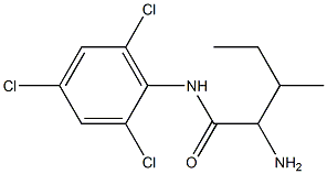 2-amino-3-methyl-N-(2,4,6-trichlorophenyl)pentanamide Structure