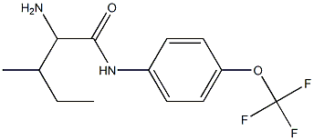 2-amino-3-methyl-N-[4-(trifluoromethoxy)phenyl]pentanamide